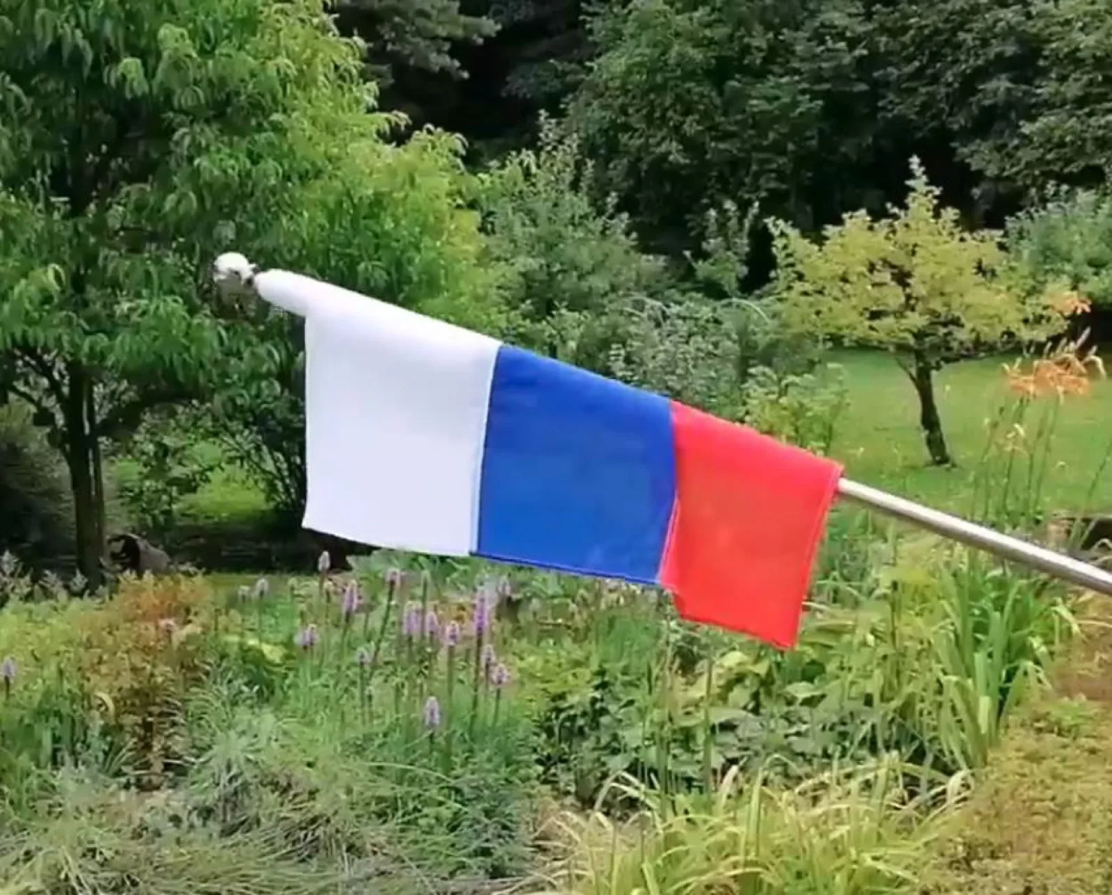 Palice za zastave